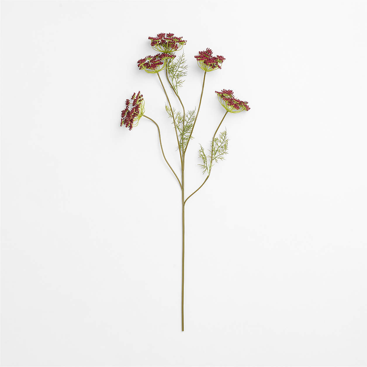 Faux Purple Queen Anne's Lace Stem 43" | Crate & Barrel | Crate & Barrel