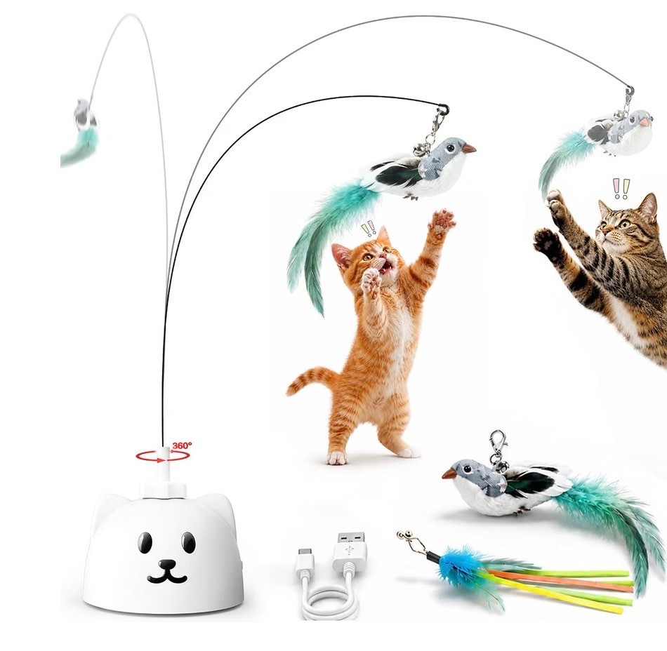 Amazon Cat toys!

#LTKBaby #LTKSaleAlert #LTKHome