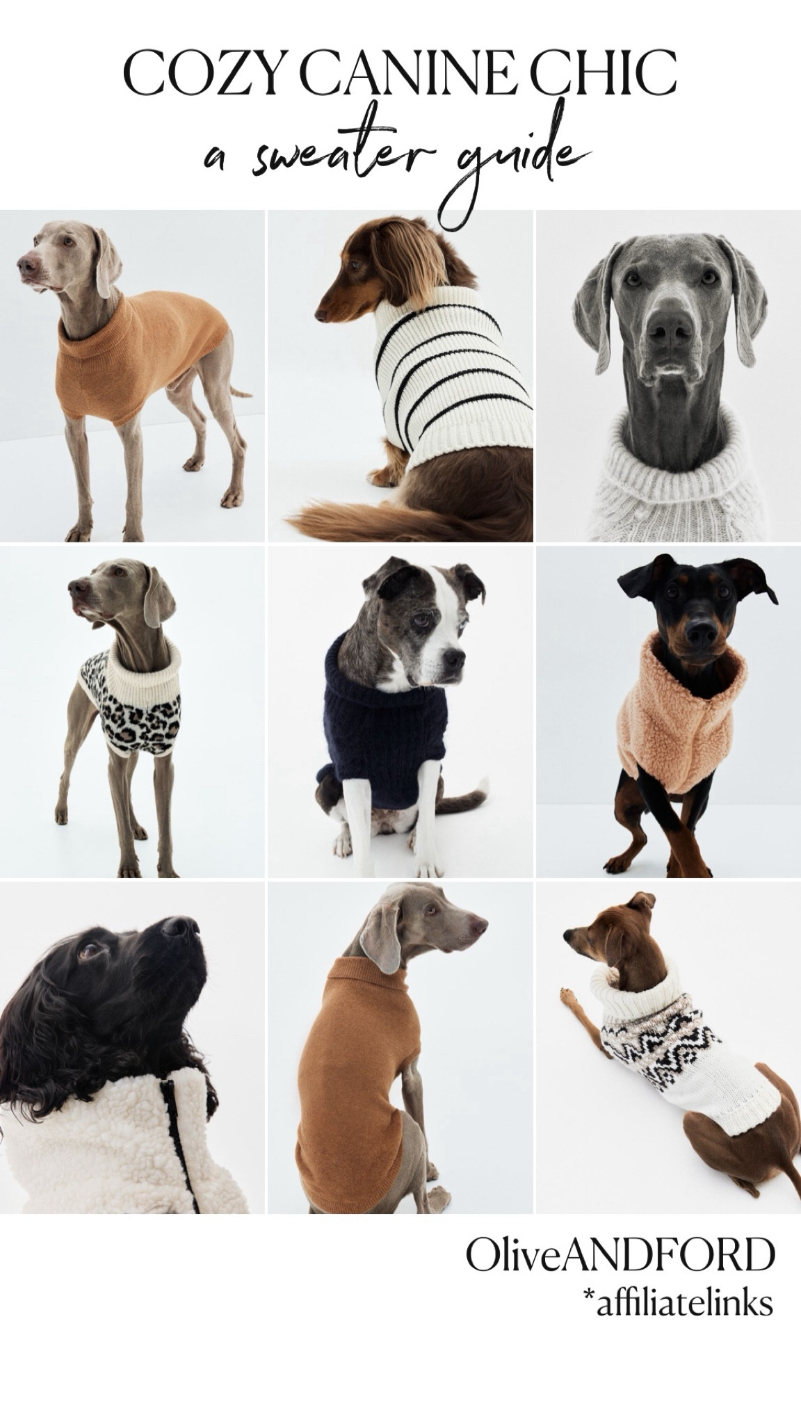 If *Vogue* did a holiday issue for dogs, this would be their cover story. 🐾✨ Nine stylish pups, each in a sweater so chic, their humans might just start borrowing them. Whether your dog’s an influencer in the making or a professional napper, this guide has a look for every furry fashionista.

#DogSweaters  
#DogFashion  
#ChicPups  
#PetStyle  
#DogsofInstagram  
#PetGiftGuide  
#HolidayDogStyle  
#PuppyStyle  
#WinterDogFashion  
#PetGiftIdeas  
#VogueForDogs  
#StylishPets  


#LTKHoliday #LTKCyberWeek