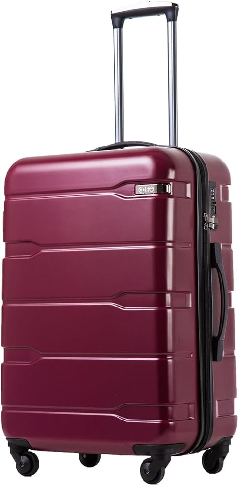 Coolife Luggage PC+ABS Hardshell Suitcase with TSA Lock, Spinner Checked Lightweight (Radiant Pin... | Amazon (US)