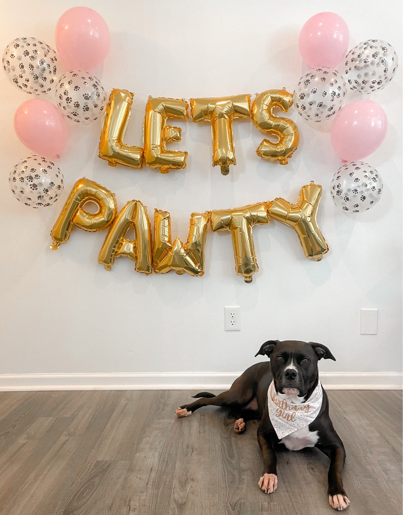 Puppy Party 🐾

#LTKfamily #LTKGiftGuide #LTKunder50