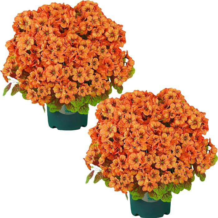 20 Inch Artificial Geranium Bush in Pot, UV Resistant Faux Outdoor Plant for Front Porch, Fall Ar... | Amazon (US)