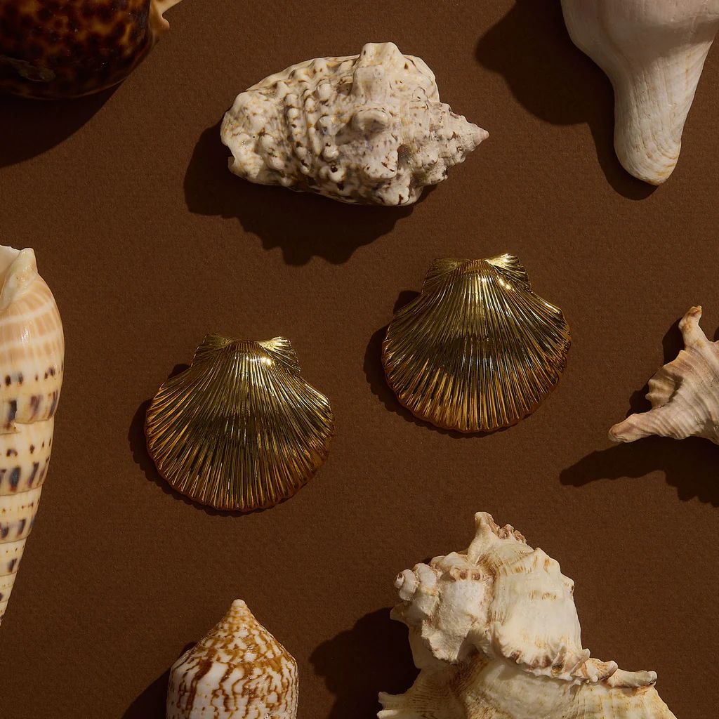 Anisah Shell Studs Gold | Mignonne Gavigan