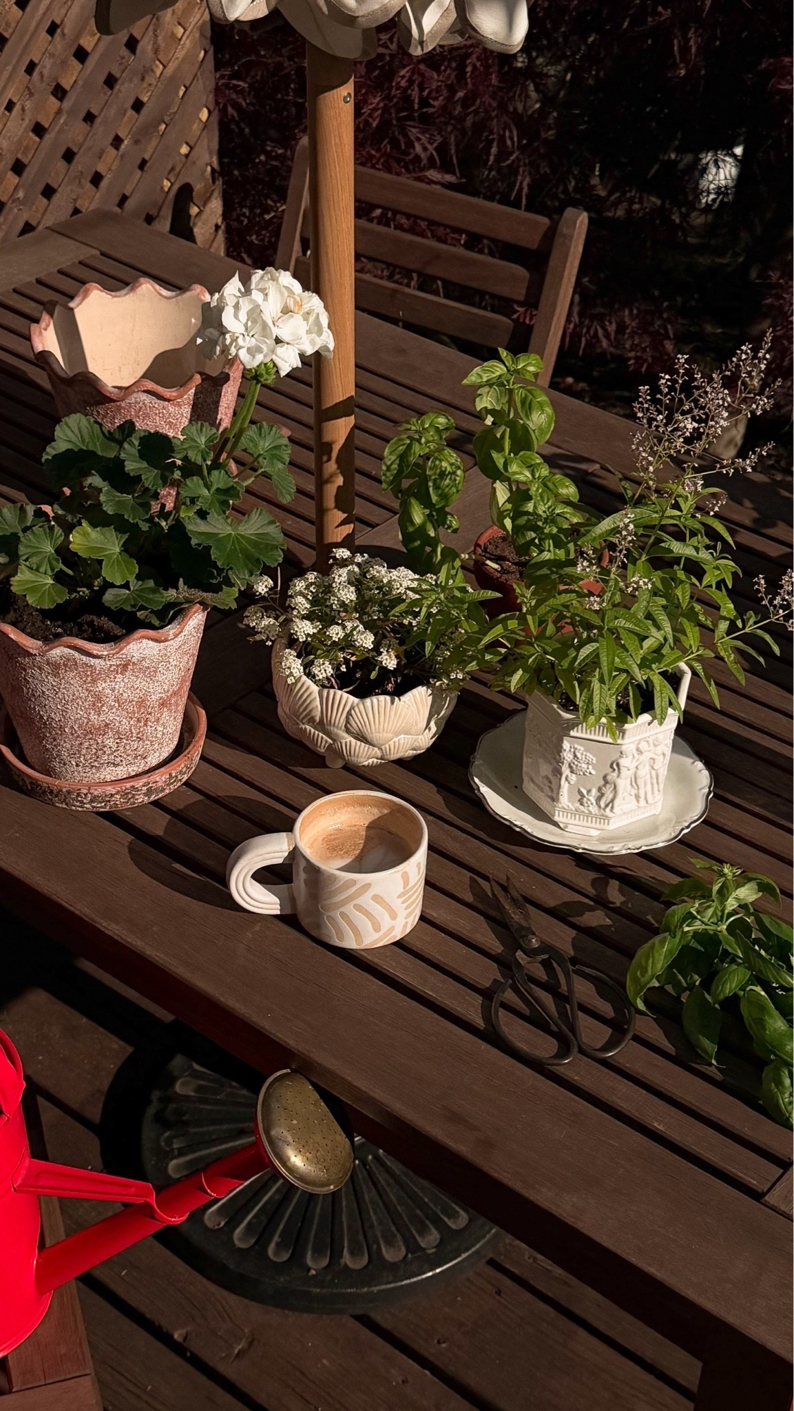 These scalloped Terra cotta planters are so cute!

#LTKSeasonal #LTKHome