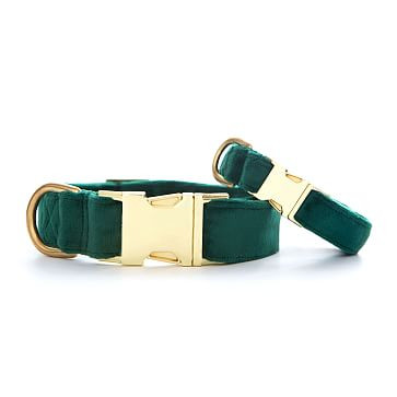 Foggy Dog Velvet Collar | Mark and Graham | Mark and Graham
