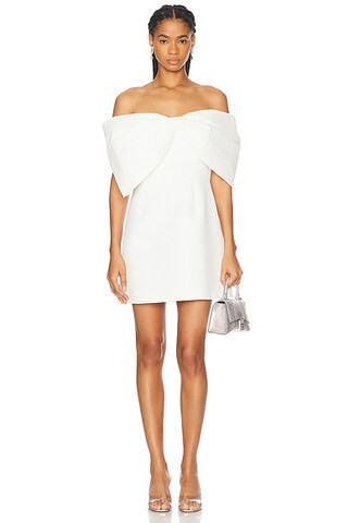 Kace Mini Dress | FWRD 