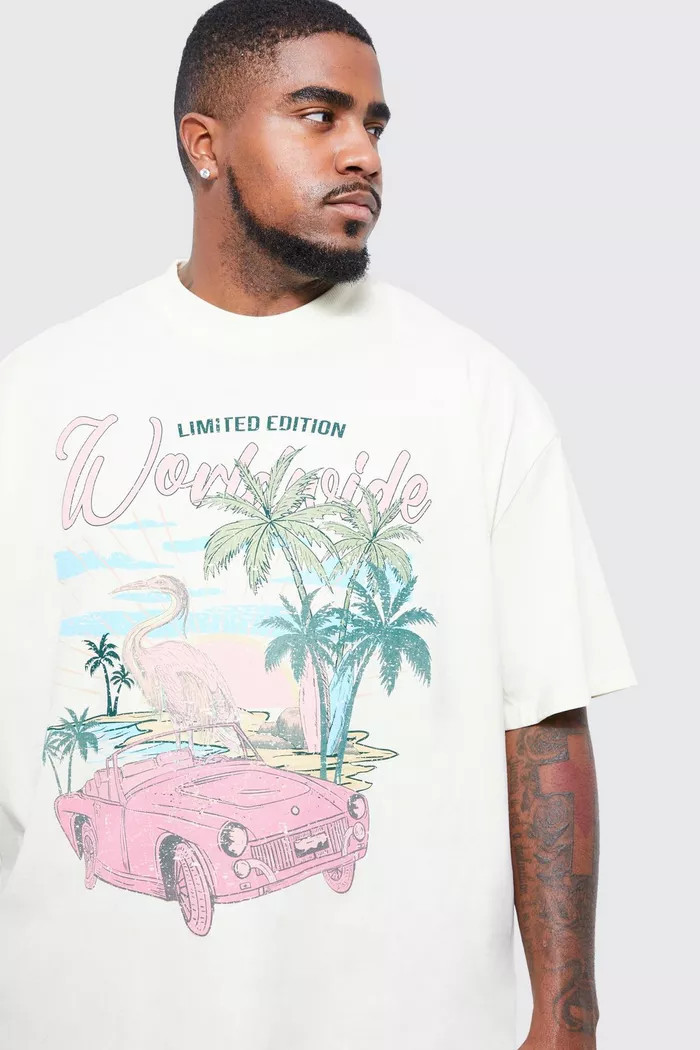 Plus Oversized Heavyweight Scenic Palm T-shirt | Boohoo.com (US & CA)