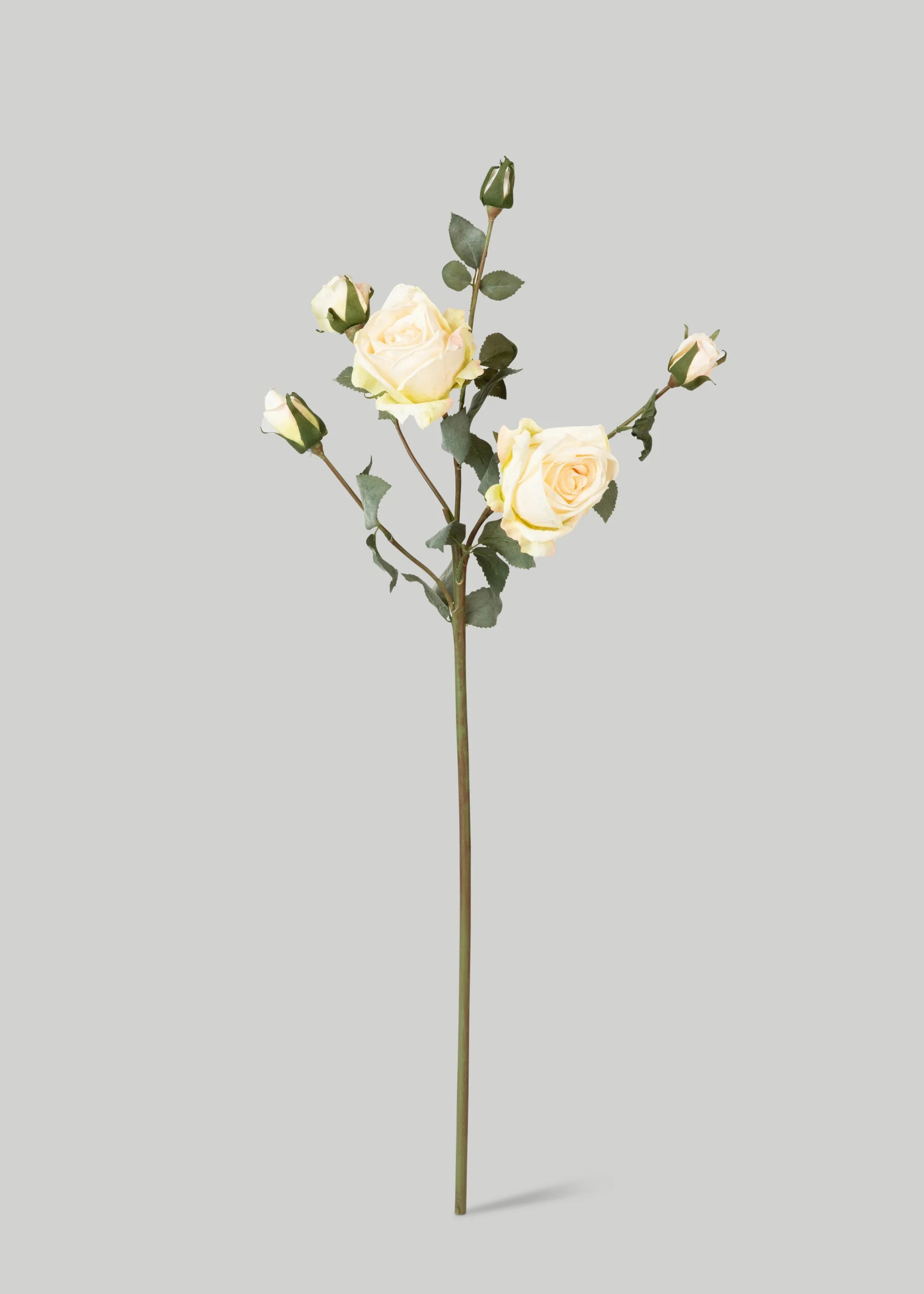 Cream Roses with Dried Look | Best Faux Flowers | Afloral | Afloral