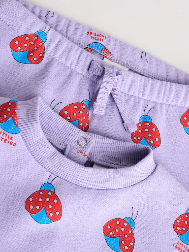 Purple Ladybug Baby Sweater and Joggers Set 2 Piece (0mths-2yrs) | Next US
