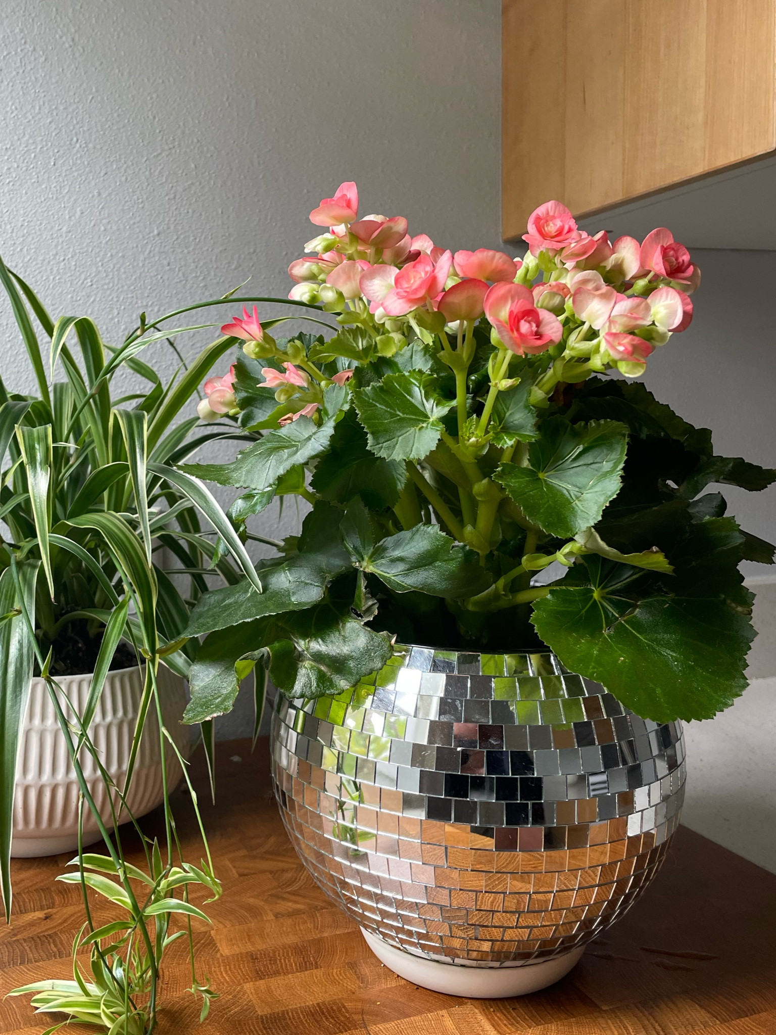 This pot SPARKLES

#LTKunder100 #LTKhome