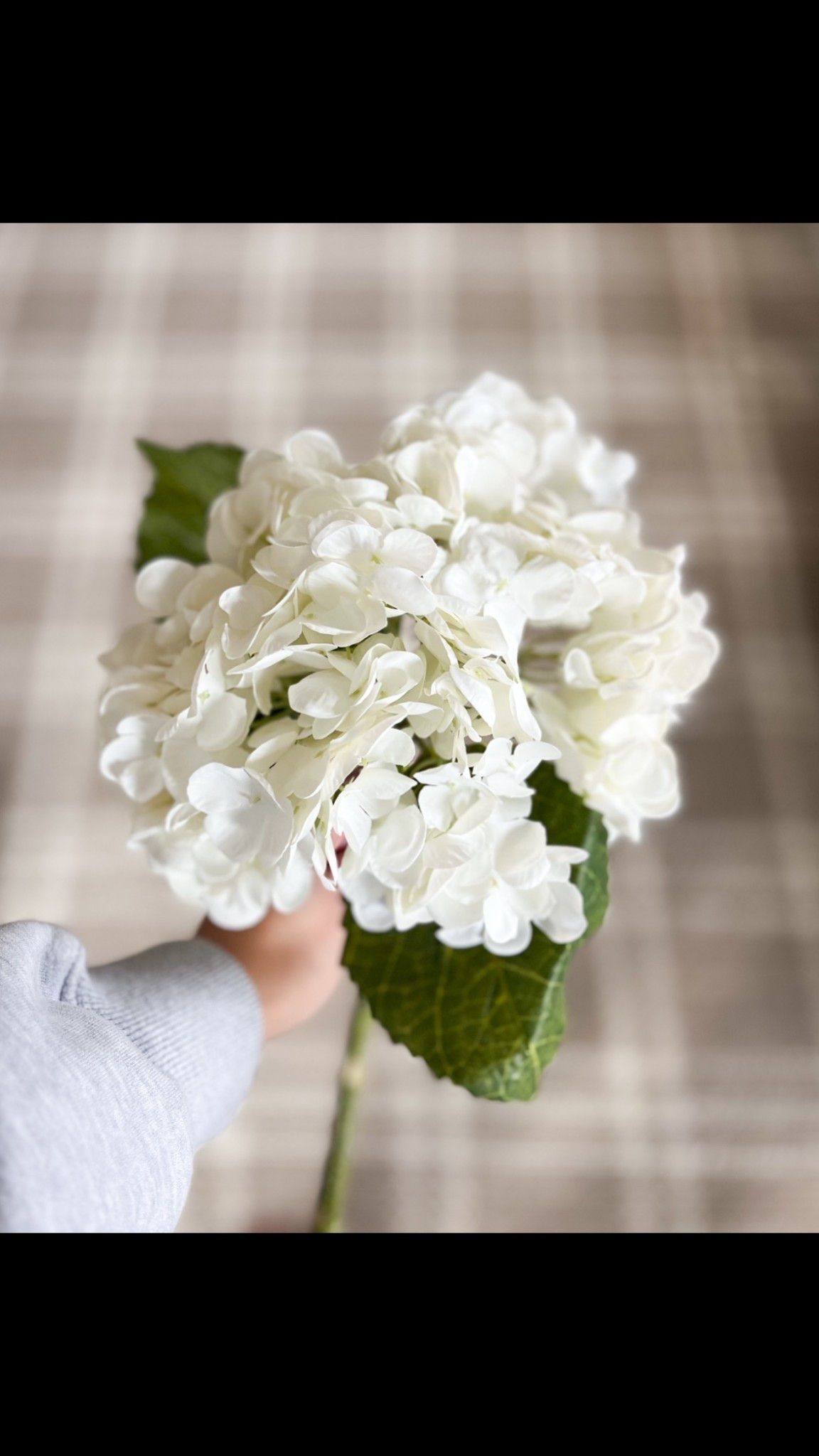 My favorite soft touch faux hydrangea 

#LTKHome #LTKselfcare #LTKSeasonal