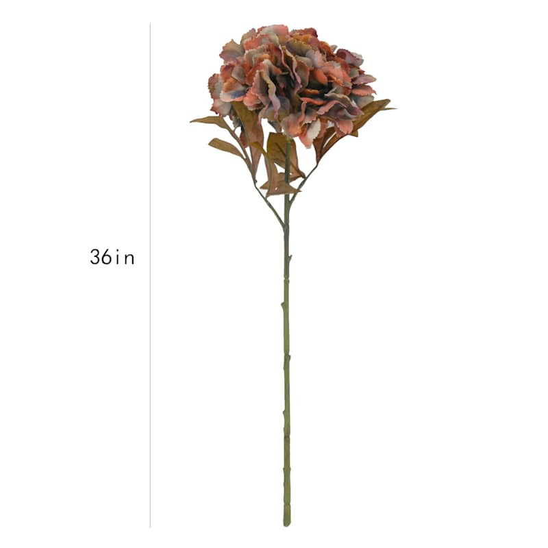 Brown Hydrangea Stem, 21" | At Home