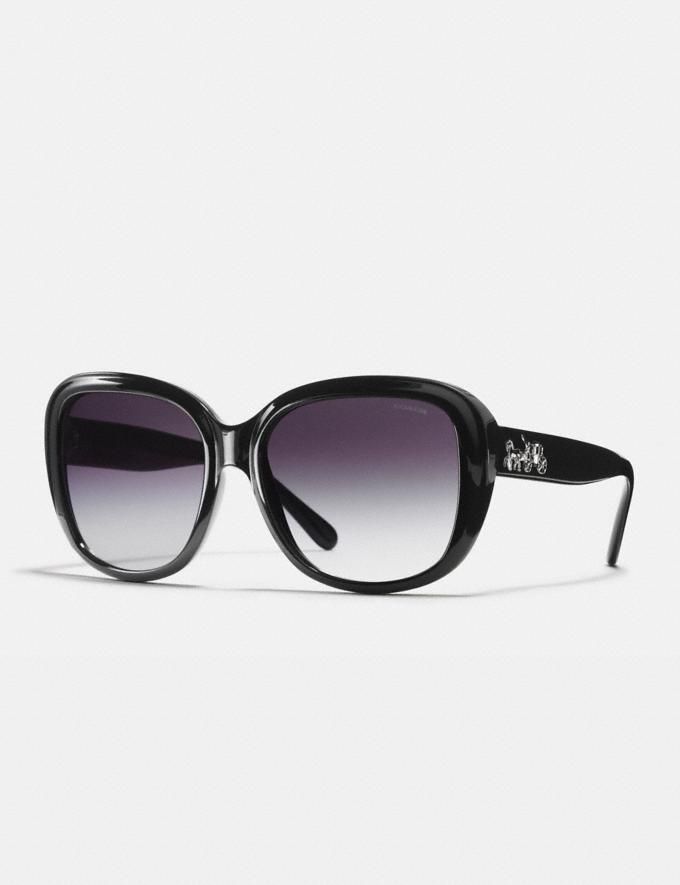 horse and carriage soft square sunglasses | Coach (US)