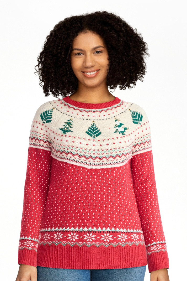 Holiday Time Women's & Women's Plus Pretty Christmas Sweater, Sizes XXS-4X - Walmart.com | Walmart (US)