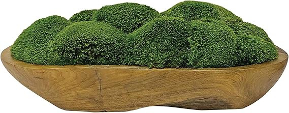 Uttermost Kinsale Green Moss 19" Wide Centerpiece in Natural Wood Bowl | Amazon (US)
