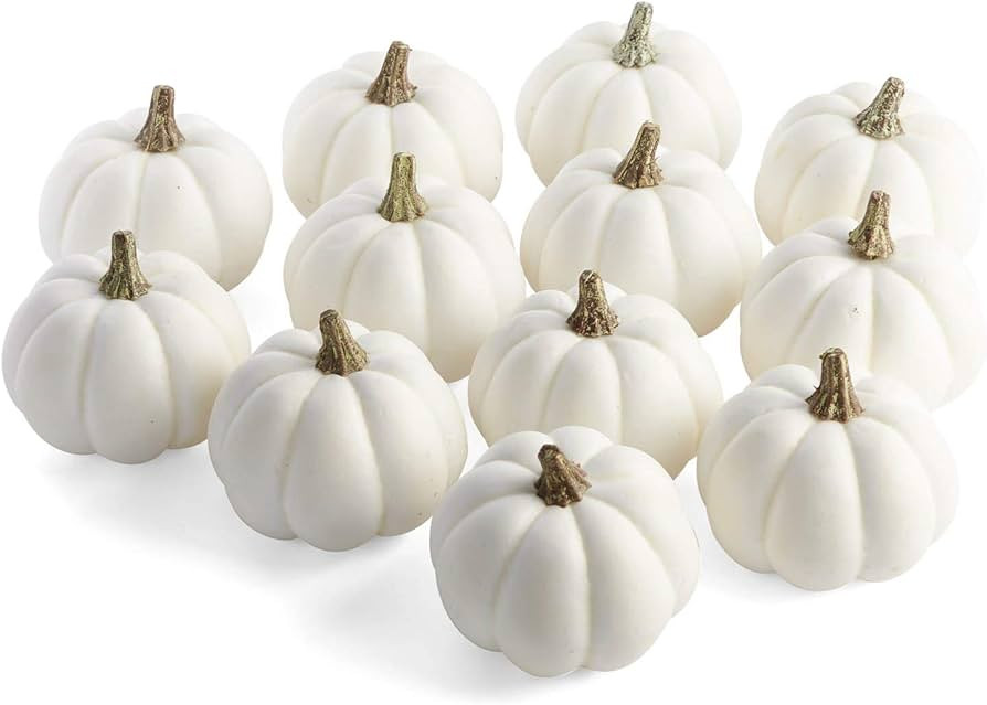 Factory Direct Craft Package of 12 Artificial Harvest Off White Baby Boo Pumpkins for Halloween, ... | Amazon (US)