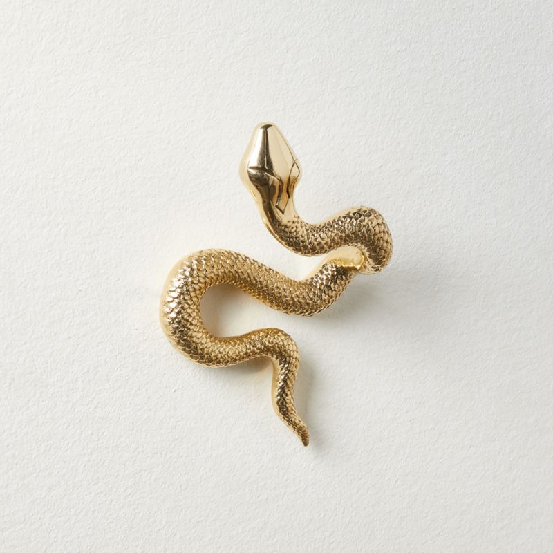 Modern Unlacquered Brass Snake Wall Hook + Reviews | CB2 | CB2