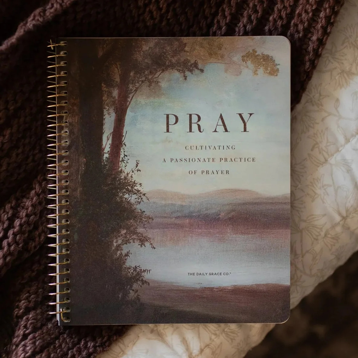 Pray Bible Study | The Daily Grace Co.