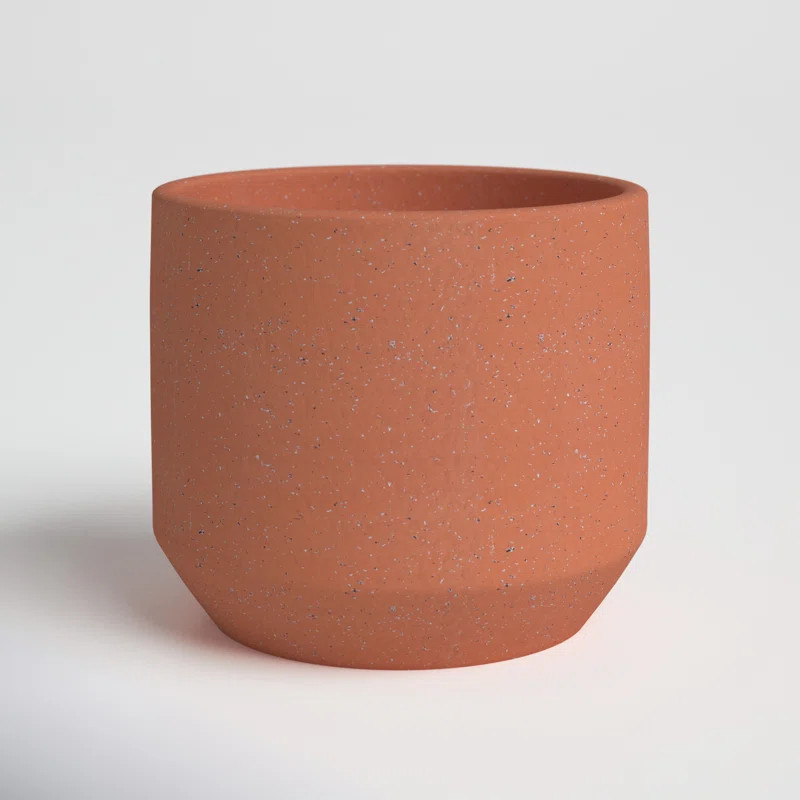 Datura Pot Planter | Wayfair Professional