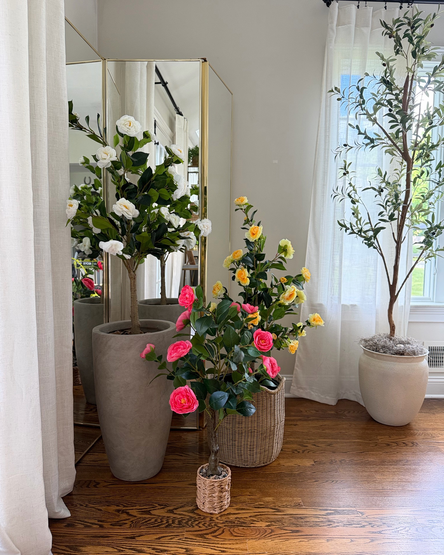 artificial camellia trees 🪴 
comparing three different flowering plants from Amazon!

TIP  🍋  Style a plant inside a wicker planter or woven basket to achieve a grandmillennial / coastal cottage style aesthetic this summer! 
    👉🏻 To prop it up, turn a small plastic planter upside-down and place it at the bottom of the planter. Then place the tree on top to give it height!  Lastly, secure it by stuffing  styrofoam pool noodles or bubble wrap around the base to fill empty space!


Tree Heights 🌳
🌸  PINK: 3 FT
🌼  White & Yellow: 4 FT
🫒  Olive Tree: 7 FT


🍋 FOLLOW @HomesWithChristina for more home decorating tips & affordable home decor finds!

.
.
summer home decorating tips 
interior design tips
designer-inspired linen curtains under $20!
cottagecore aesthetic
coastal throw pillow refresh 
beach house decorating inspo
modern coastal home decor
coastal living room decor
coastal style home | summer decor | summer home refresh | luxe for less decor |
#summerdecor #summerhome #coastalstyle  #affordabledecor #beachhousestyle #cottagecore
#coastalliving #shorehousedecor

#LTKSeasonal #LTKHome #LTKSaleAlert