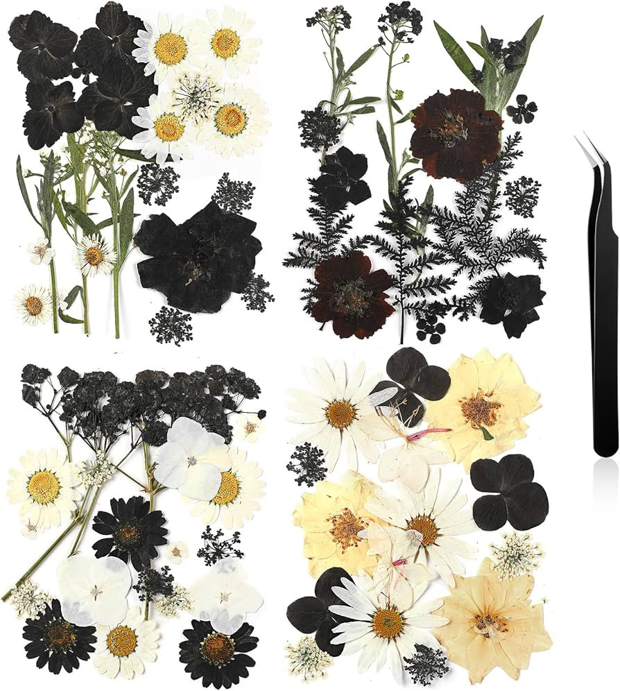Pressed Flowers Resin Flowers for Resin Mold, Real Daisy Dried Flower Leaves Natural with Tweezer... | Amazon (US)