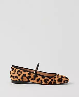 Mary Jane Haircalf Ballet Flat | Ann Taylor (US)