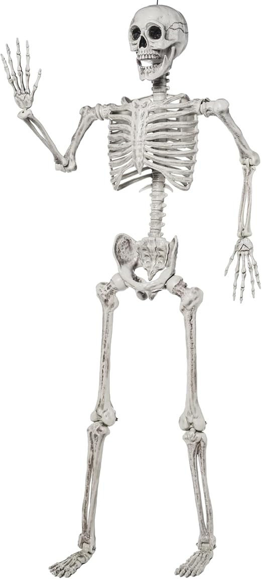 JOYIN 5.6 FT Halloween Posable Life Size Skeleton Full Body Realistic Bones with Movable Joints f... | Amazon (US)