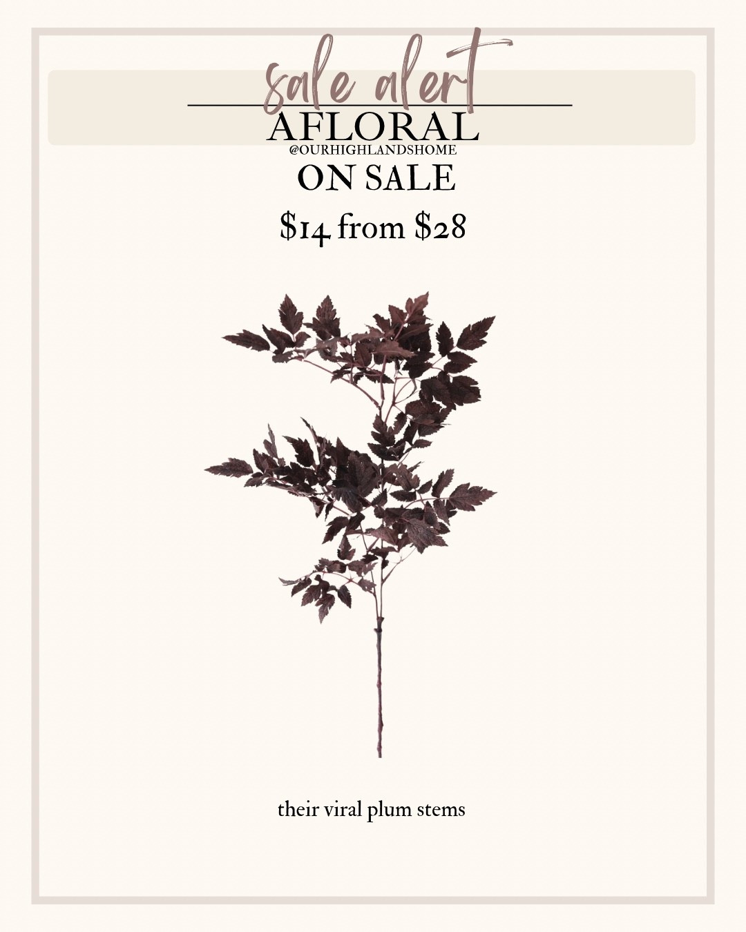 aflorals viral plum stems on sale from $28 to $14.50

#LTKHome #LTKSeasonal #LTKFallSale
