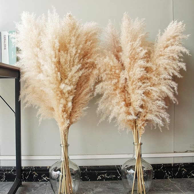 Bannifll 40-inch Natural Pampas Grass Decor Tall with 10 Stems. Perfect for Weddings, Parties, Fa... | Amazon (UK)