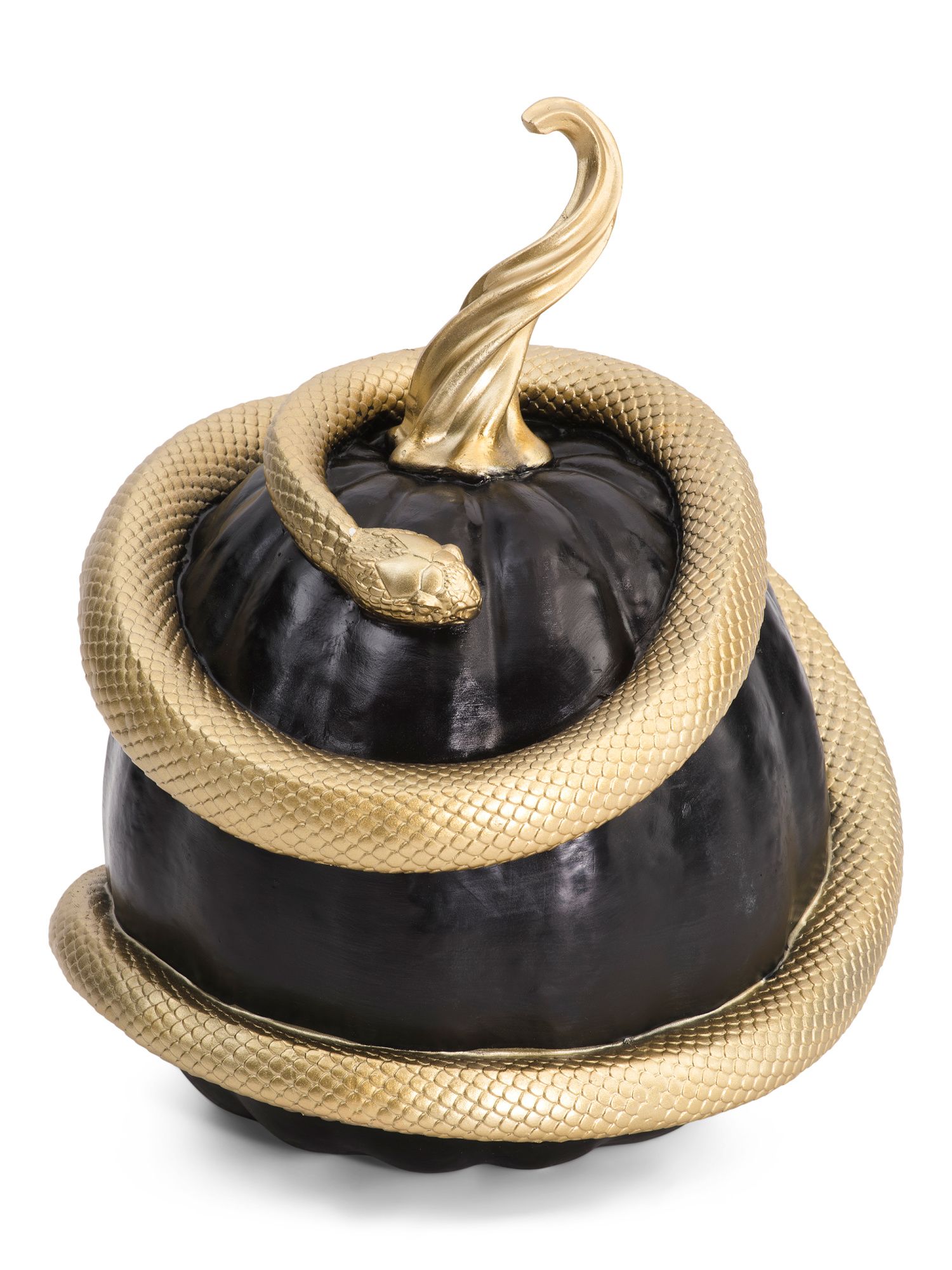 13.4in Resin Pumpkin Wrapped With Snake | TJ Maxx