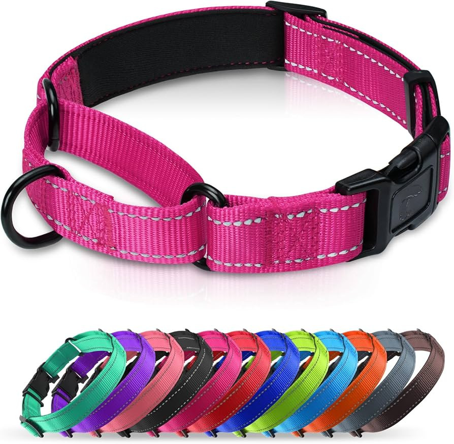 Neoprene Padded Martingale Collar for Dogs, Reflective Soft Nylon with Quick Release Buckle, Adju... | Amazon (US)