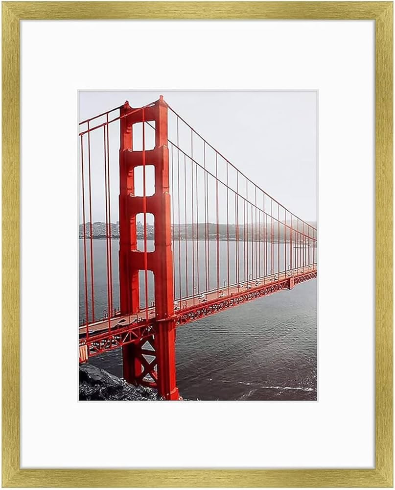 Frametory, 16x20 Picture Frame - Made to Display Pictures 11x14 with Mat or 16x20 Without Mat - W... | Amazon (US)