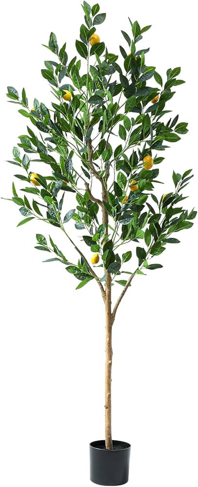 Tall Artificial LemonTree 6ft(72in), Faux Lemon Tree with Realistic Smooth and Shiny Leaves and B... | Amazon (US)
