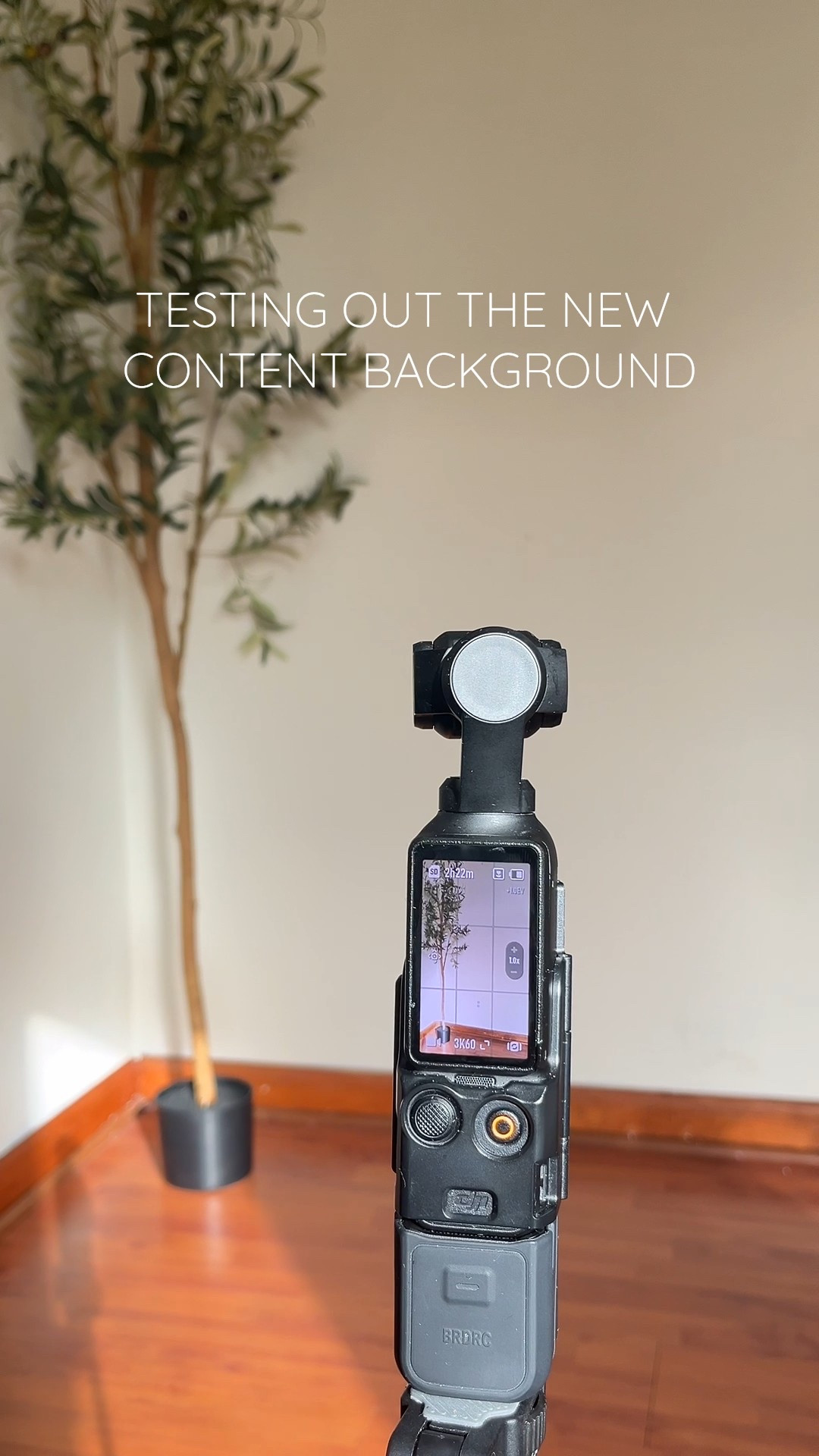 Very minimal 🤏🏽✨

Now to get a new key light & a pot for this faux plant!!! 🎬🎥📸

#LTKHome #LTKFindsUnder50 #LTKStyleTip