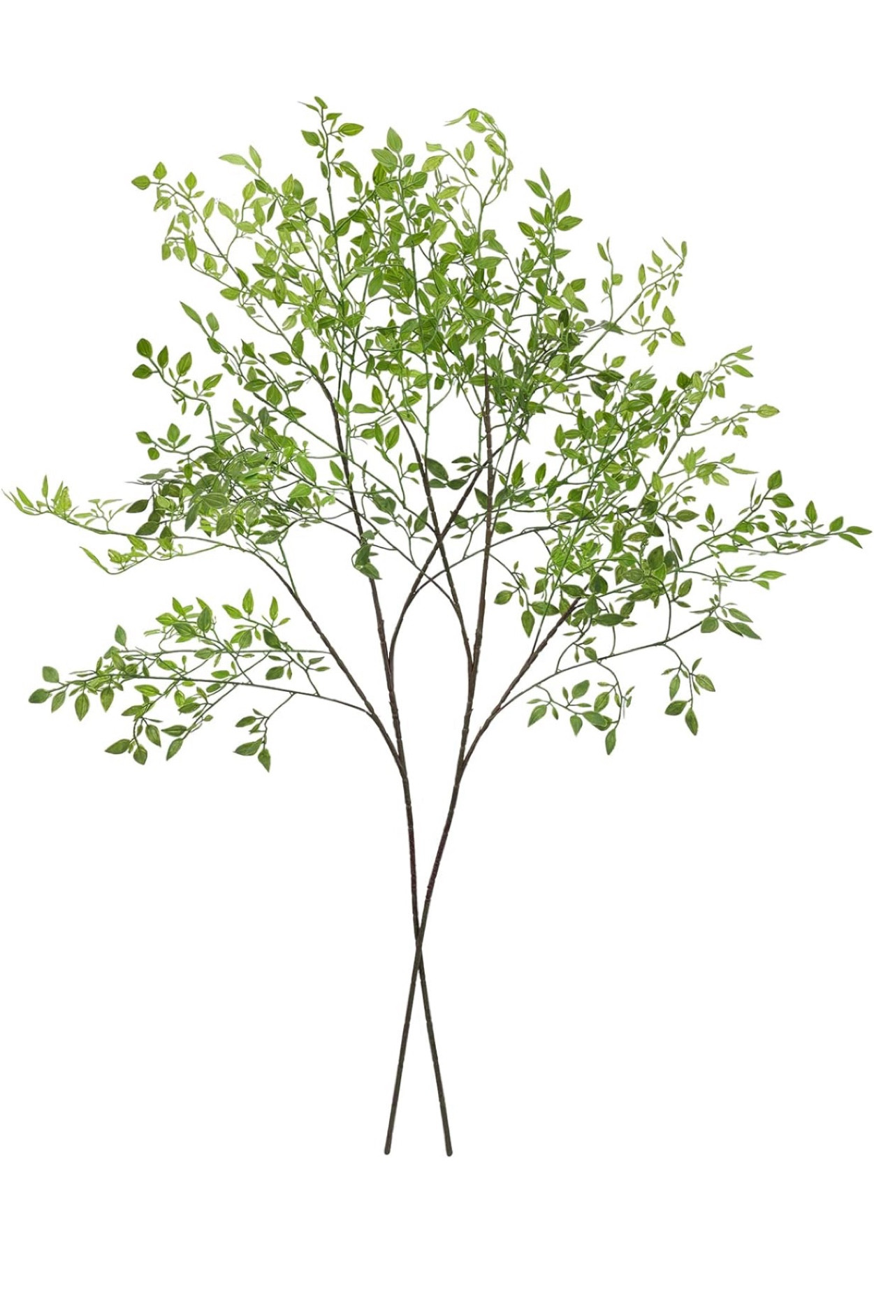 Realistic stems from @Amazon for Spring home decor. love how realistic they look especially in this oversized glass vase. The perfect decor item to transition into Spring interior decor.
 #homedecor #amazonhomefinds #amazonhomedecor

#LTKMostLoved #LTKSeasonal #LTKhome