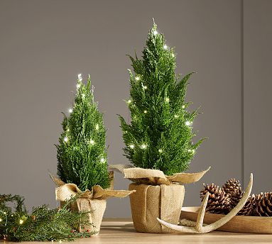 Faux Lit Topiary Pine Tree | Pottery Barn (US)