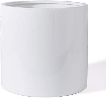 10 Inch Glazed Ceramic Indoor Planter Pot - Modern Large Cylinder Container with Watering Drainag... | Amazon (US)