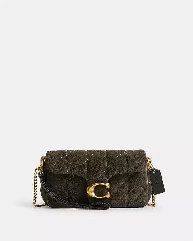 Tabby Chain Crossbody Bag 19 With Quilting | Coach (US)