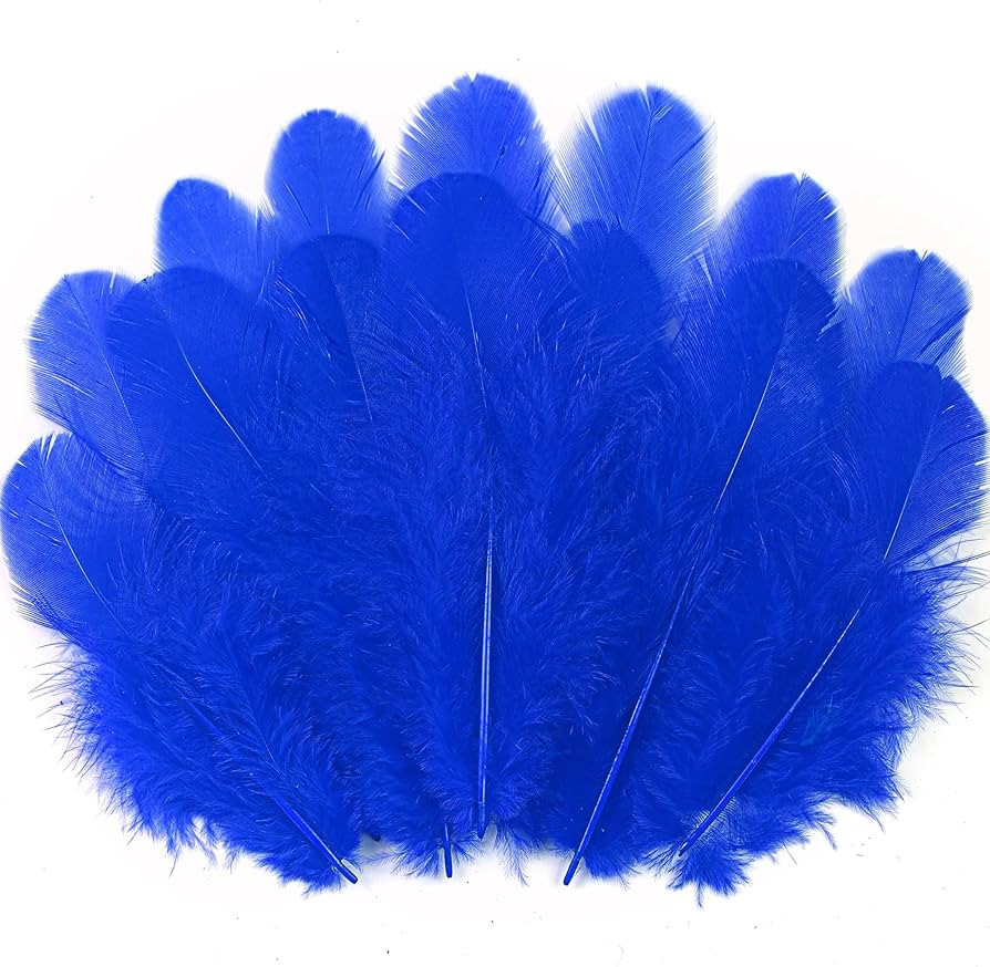 300pcs Blue Feathers for Crafts - 3-5inch Feathers Bulk for Wedding Home Party, Dream Catcher Sup... | Amazon (US)