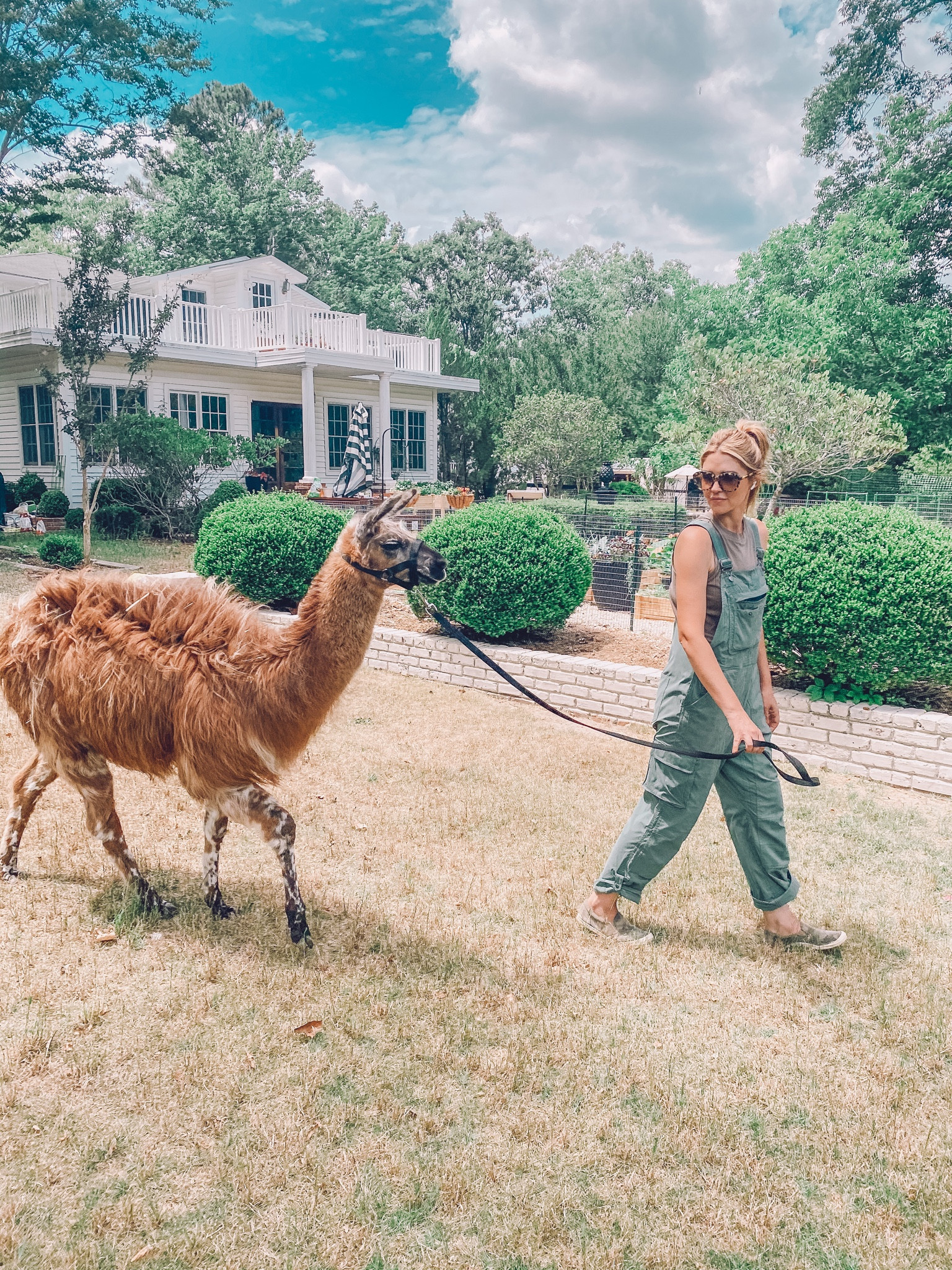 🚨SALE ALERT🚨 Y’all always ask about my Gardening/Llama Walking Overalls that have been staple for me for the last 3 years! 🌟 They have tons of pockets, come is wide size range (including inseams!) and come in multiple fun colors! 


#LTKFamily #LTKSeasonal #LTKOver40