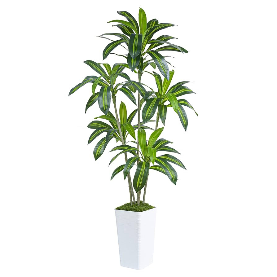 Artificial Dracaena Tree Artificial Silk Tree Faux Tree Fake Tropical Yucca Floor Plant with Whit... | Amazon (US)