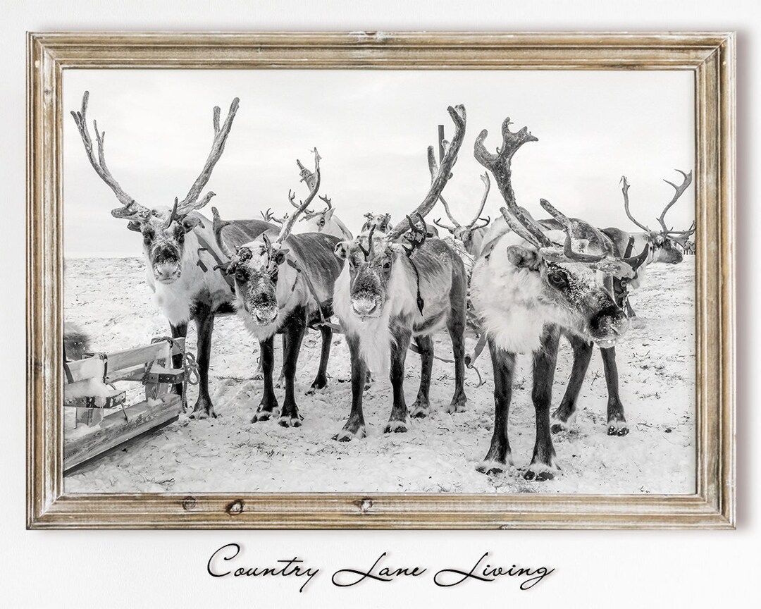 Nordic Winter Reindeer Download  Scandinavian Grey Toned - Etsy | Etsy (US)