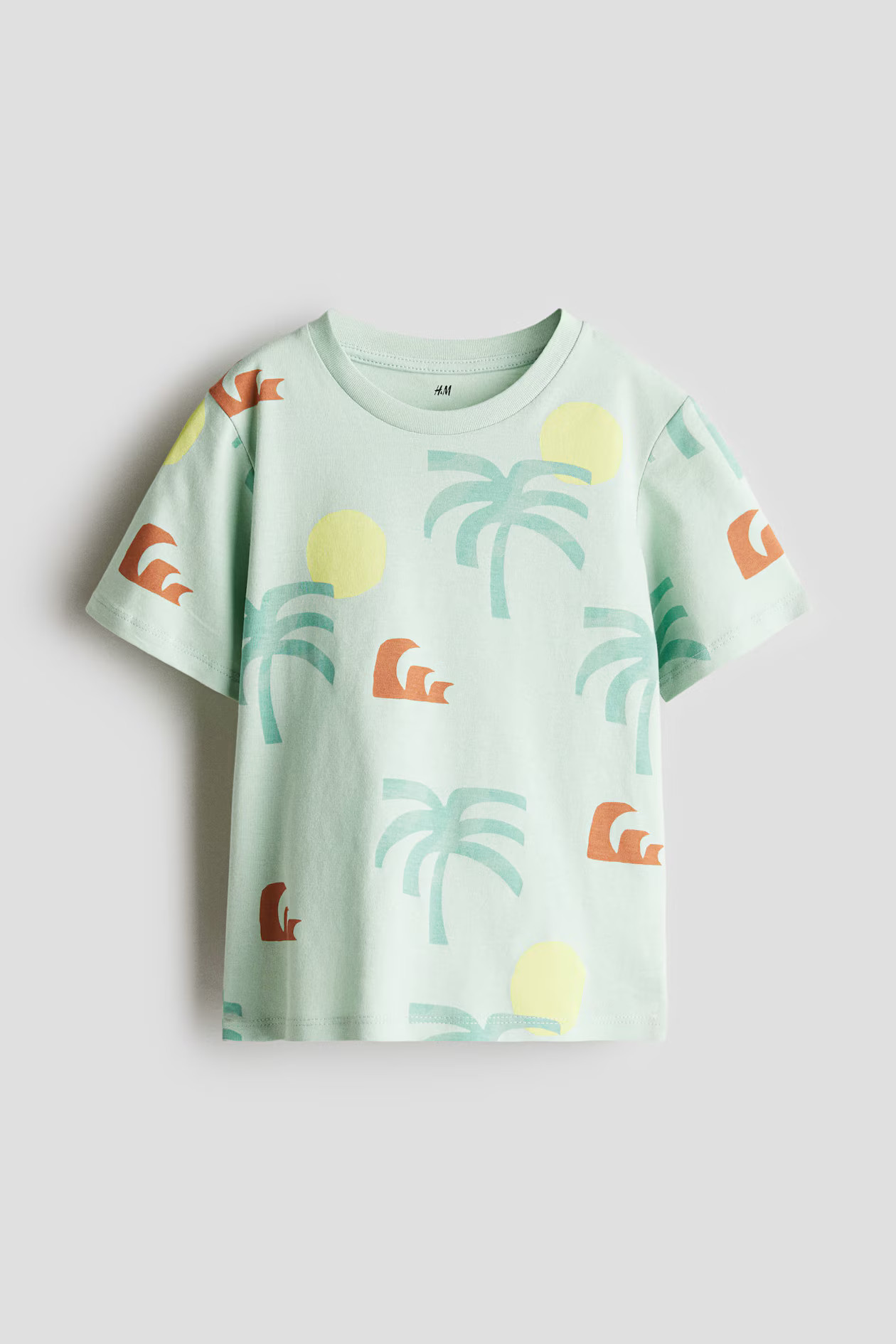 Printed T-shirt | H&M (US + CA)