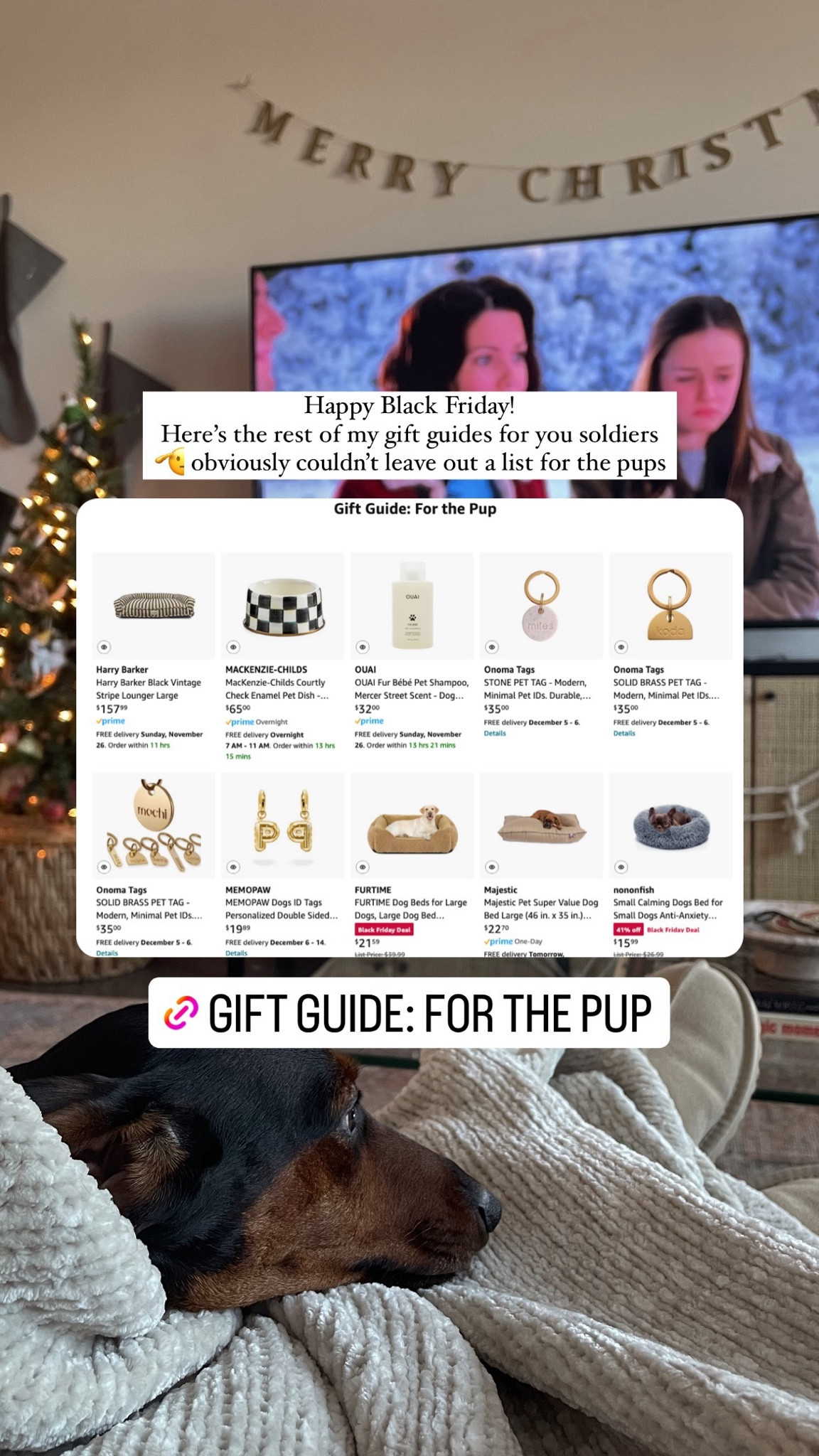Gift guide for the pup! 

Seasonal finds | pet gifts | dog finds

#LTKGiftGuide #LTKHoliday #LTKSeasonal
