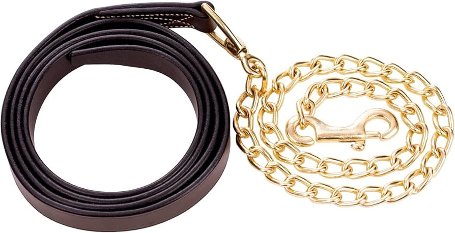 Equinavia Valkyrie Leather Lead Shank with Brass Plated Chain | 65" Leather, 24" Shank - Chocolat... | Amazon (US)