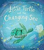 Little Turtle and the Changing Sea: A story of survival in our polluted oceans | Amazon (US)