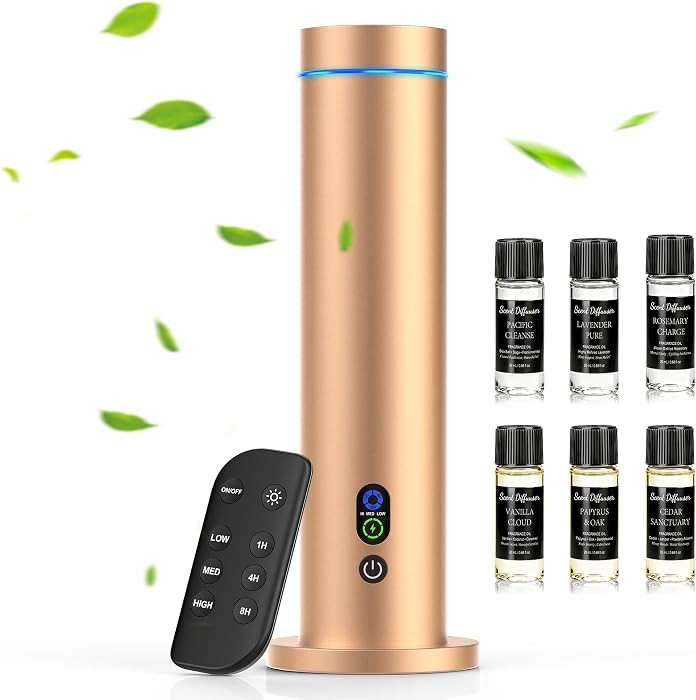 Gold | Amazon (US)