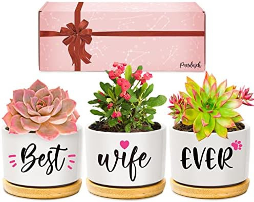 Pandasch Valentines Day Gifts for Wife, Birthday Gifts for Wife, Anniversary Present for Her, Wif... | Amazon (US)