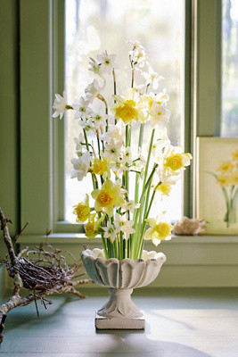 Flora Concrete Urn | Anthropologie (US)