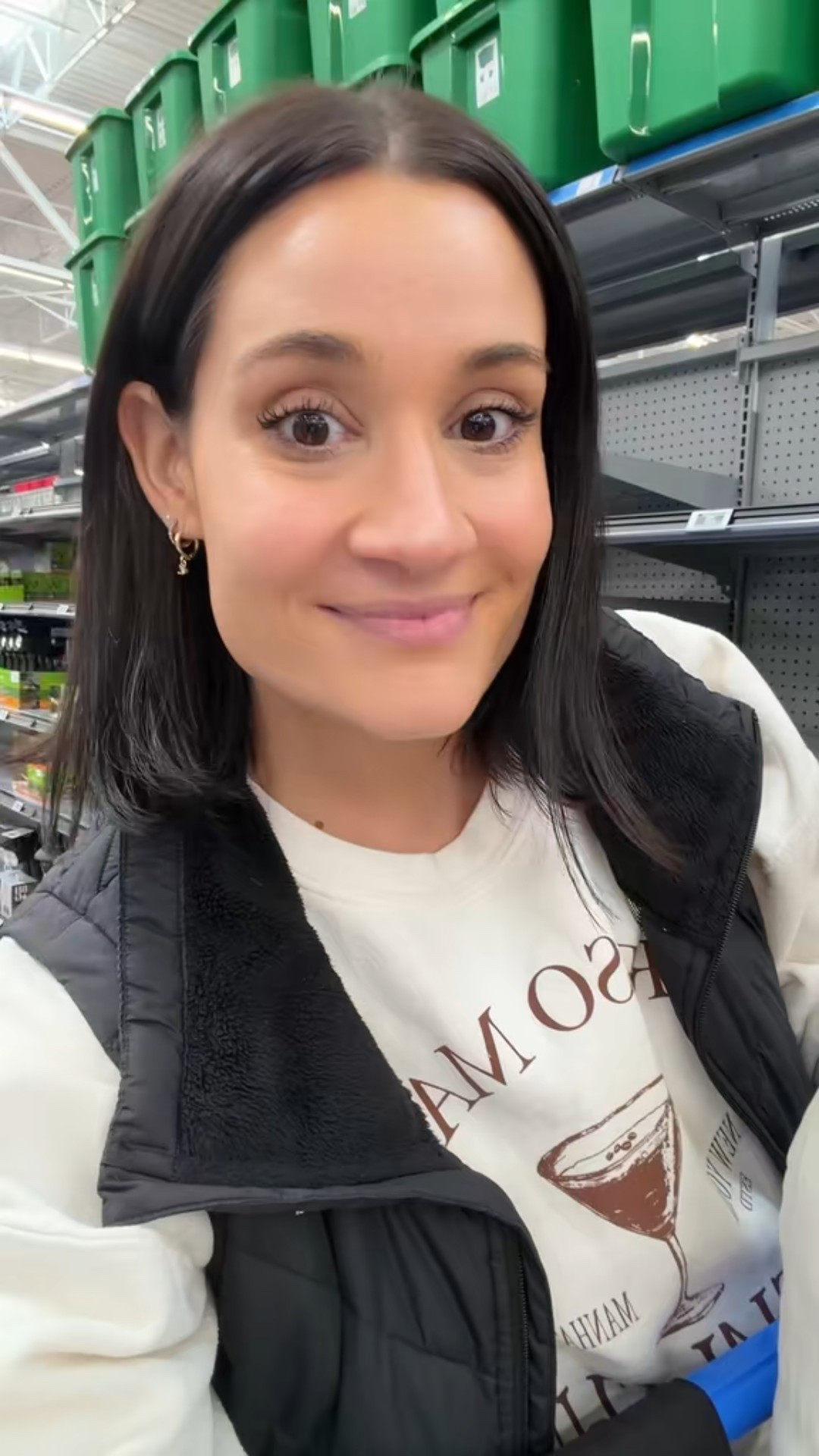 Walmart goose on the loose 